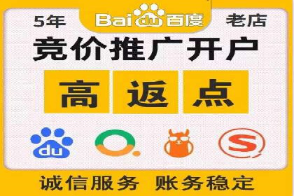 百度竞价推广运营实战技巧与经典案例剖析